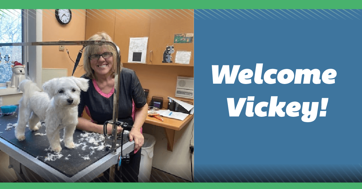 Welcome Vickey!